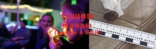 PSILOCYBIN Богородицк