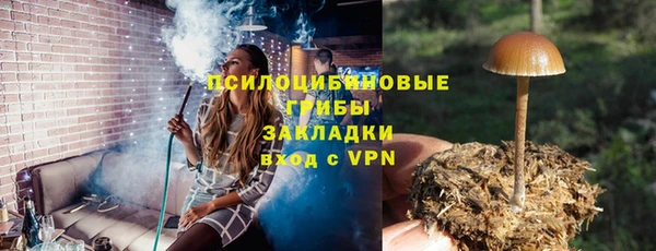 марки lsd Богданович