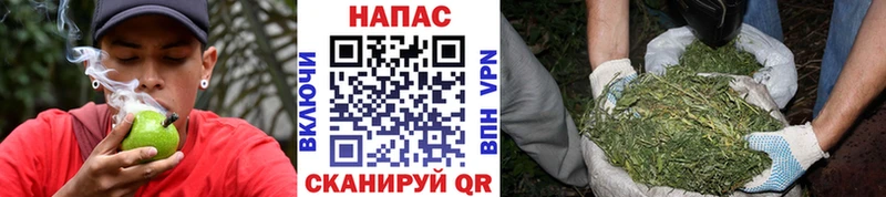 Шишки марихуана MAZAR Красково